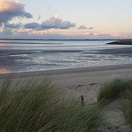 Bed & Breakfast De Zandgors Stellendam