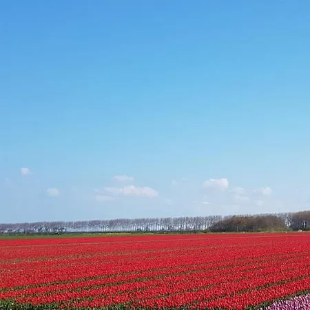 Bed & Breakfast De Zandgors Stellendam